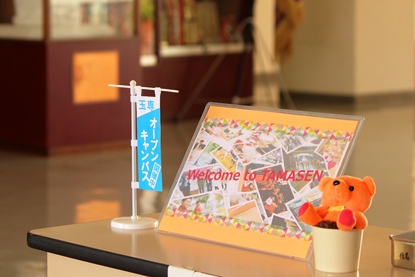 Tamasen Blog