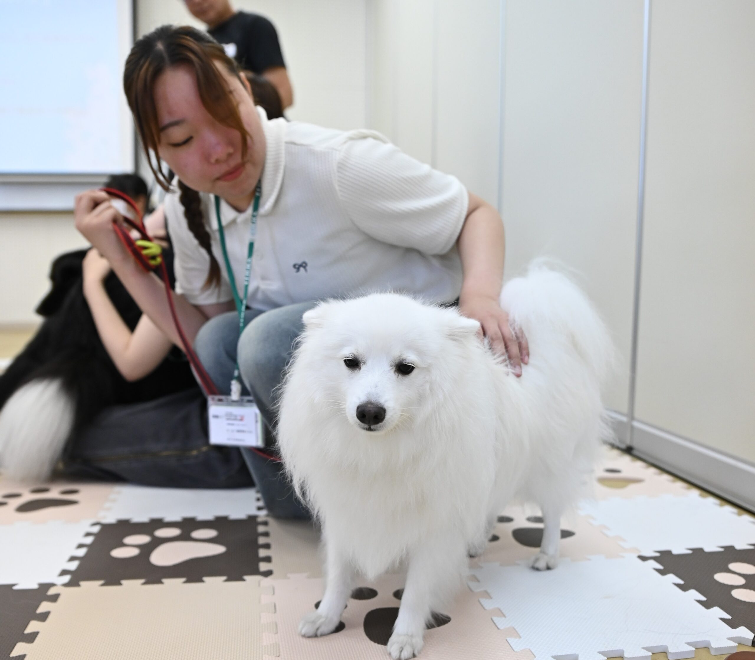 【新時代のリハビリ体験】動物リハビリ、玉野医専で！