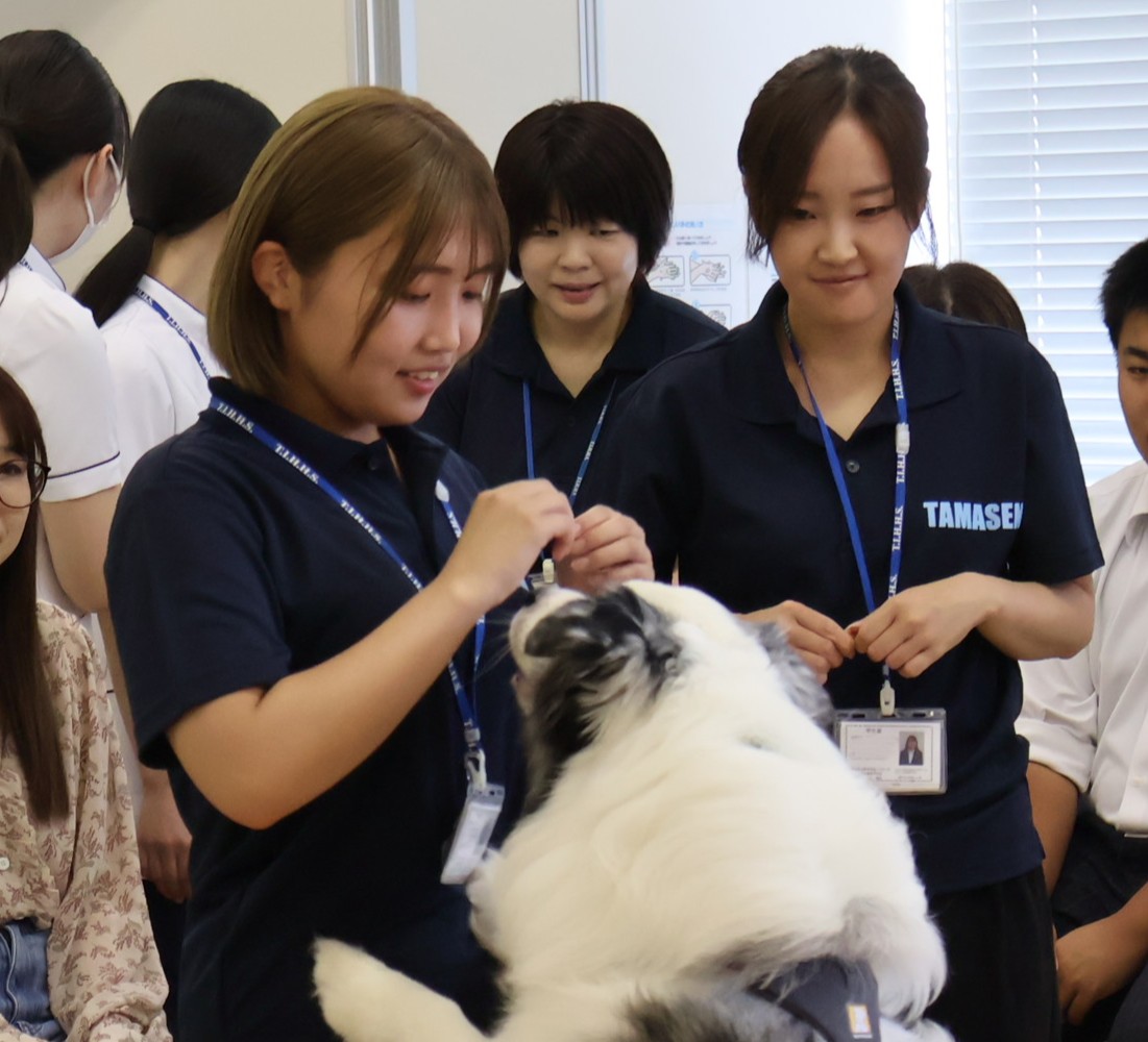 【玉野医専オープンキャンパスレポート】動物リハビリ・動物介在療法 特別企画を開催！