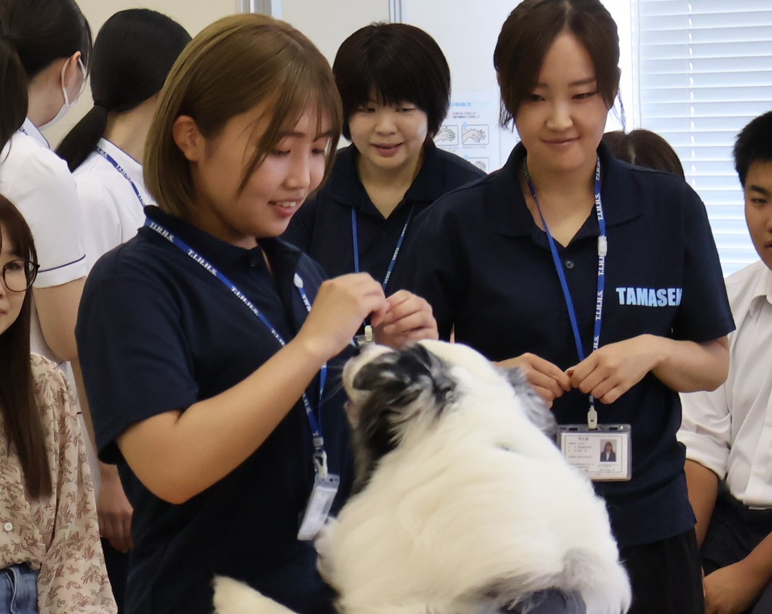 【玉野医専オープンキャンパスレポート】動物リハビリ・動物介在療法 特別企画を開催！